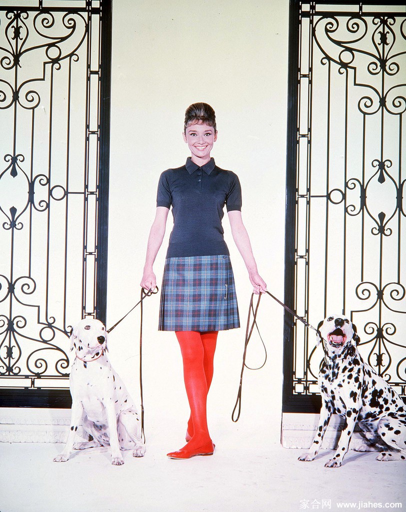 [CELEBRITY PANTYHOSE]Audrey Hepburn in nylon stockings,pantyhose,tights[3]