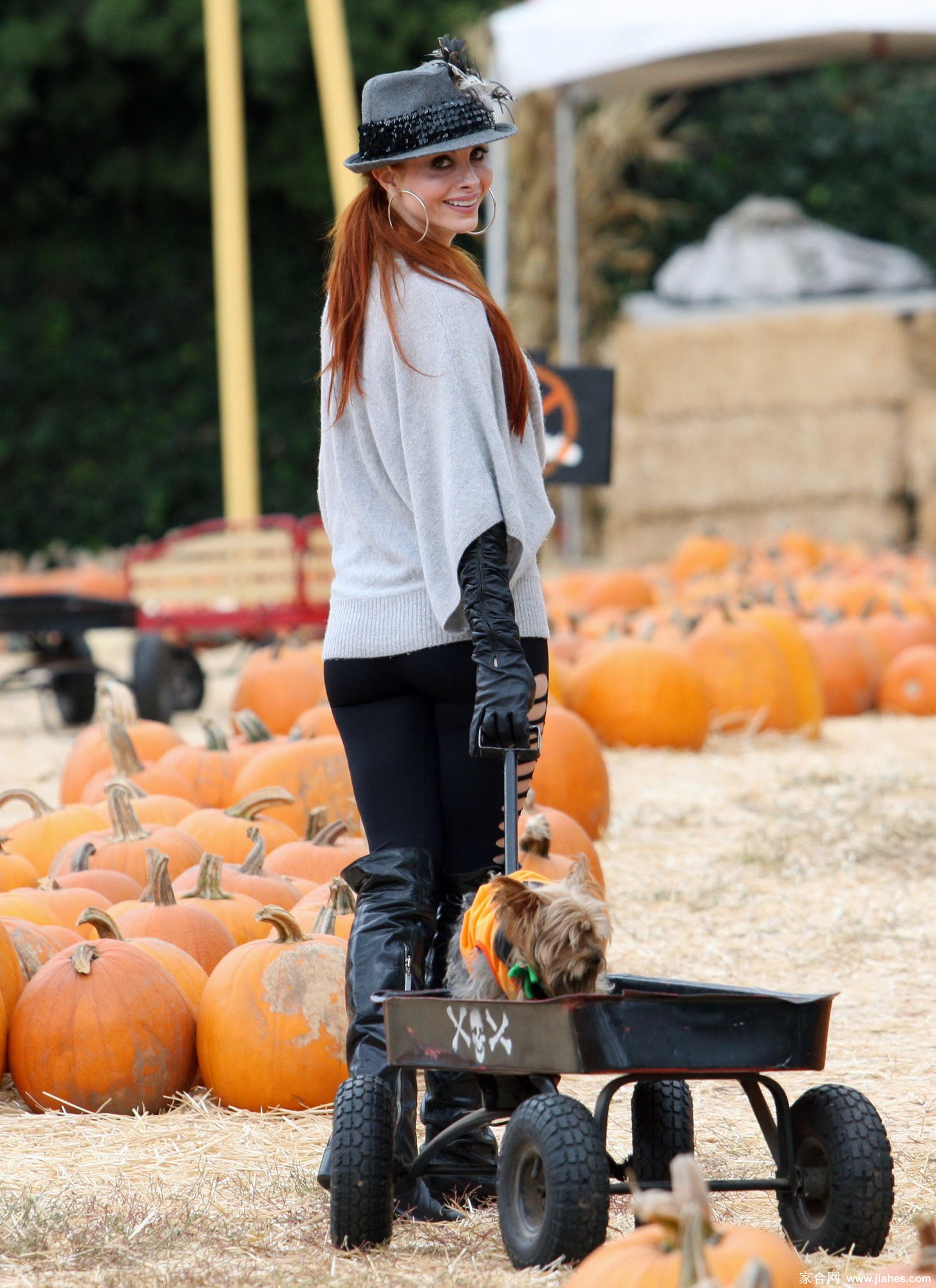 [CELEBRITY HOSIERY]Phoebe Price in nylon stockings,pantyhose,tights[7]