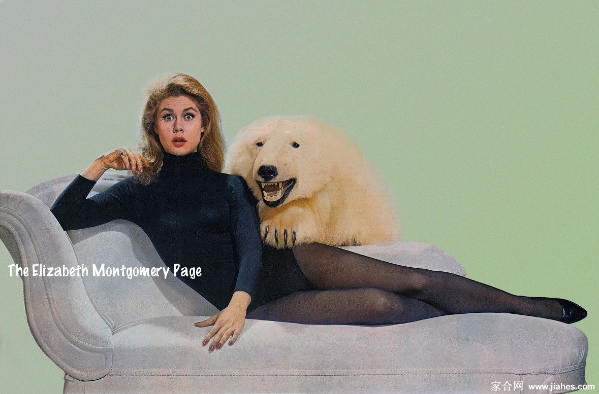 [CELEBRITY HOSIERY]Elizabeth Montgomery in nylon stockings,pantyhose,tights[2]