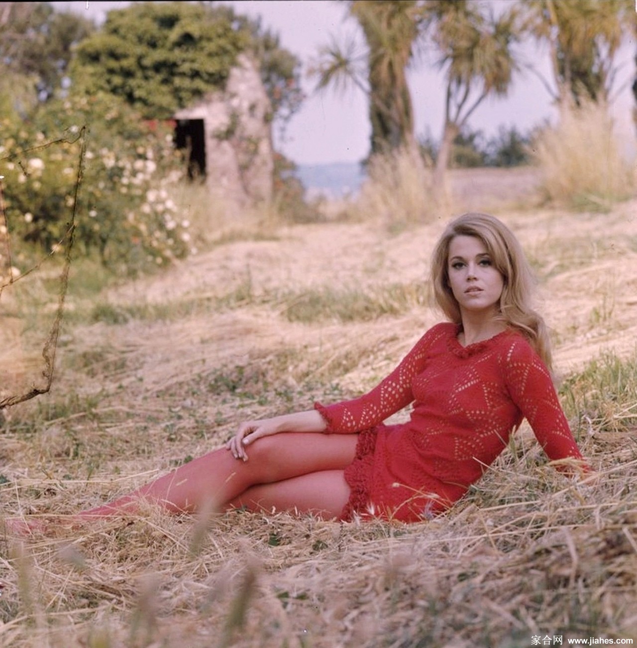 [CELEBRITY HOSIERY]Jane Fonda in nylon stockings,pantyhose,tights 2[2]