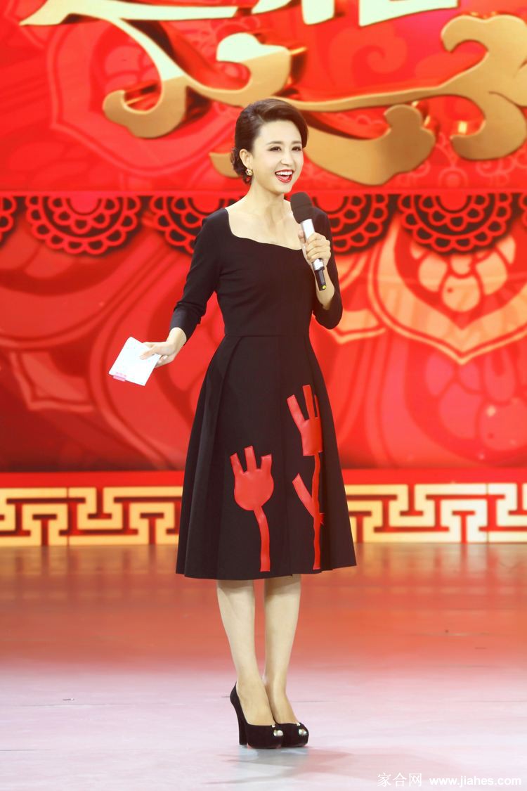 央视主持人张蕾丝袜美腿高跟2[18]