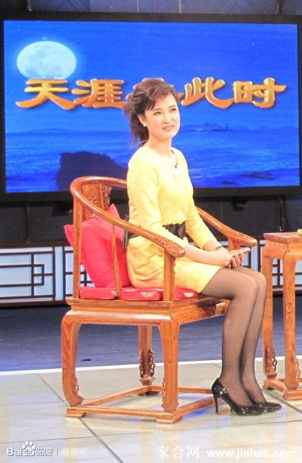 央视主持人桑晨丝袜美腿高跟[16]