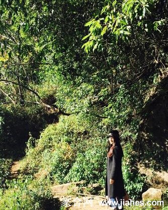 杨钰莹走在落叶的时光[3]