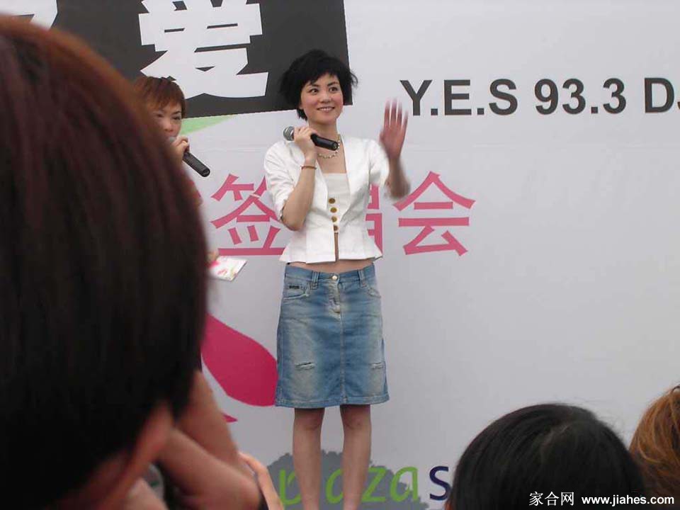宣传新碟《将爱》的现场王菲[3]