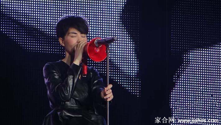 巡回演唱会中的王菲舞台照[4]