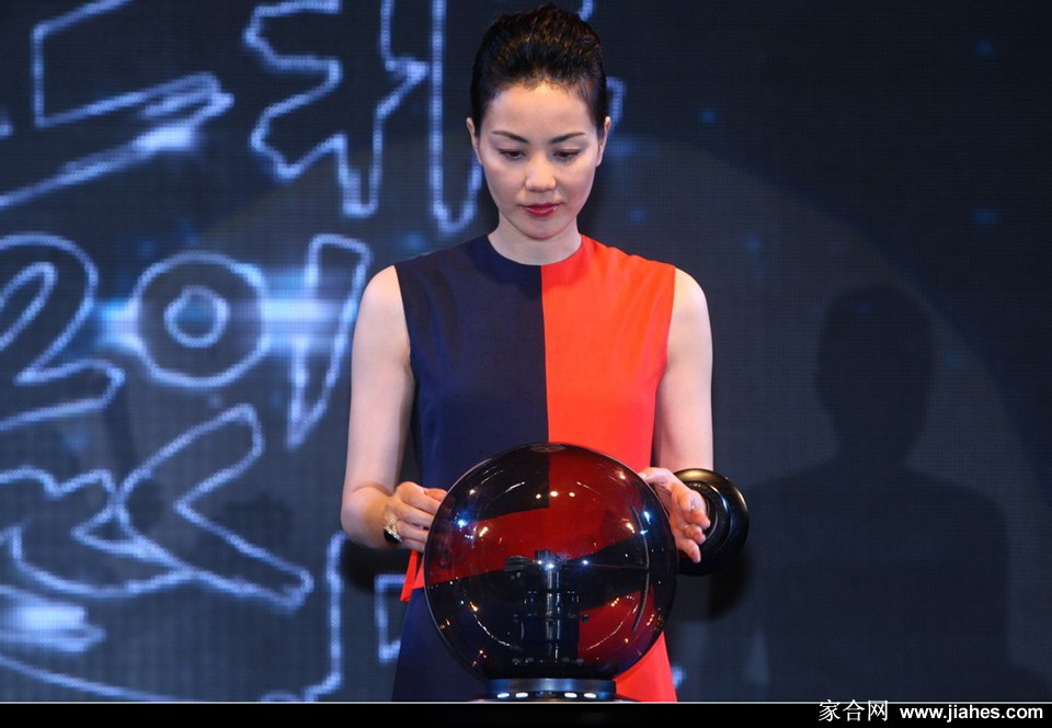 巡回演唱会发布会现场的王菲[10]