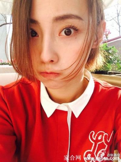 清纯美女张嘉倪微博晒自拍