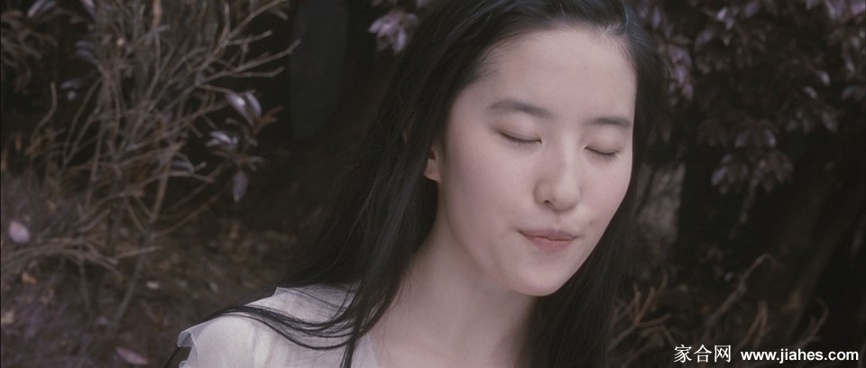 刘亦菲《倩女幽魂》性感剧照[3]