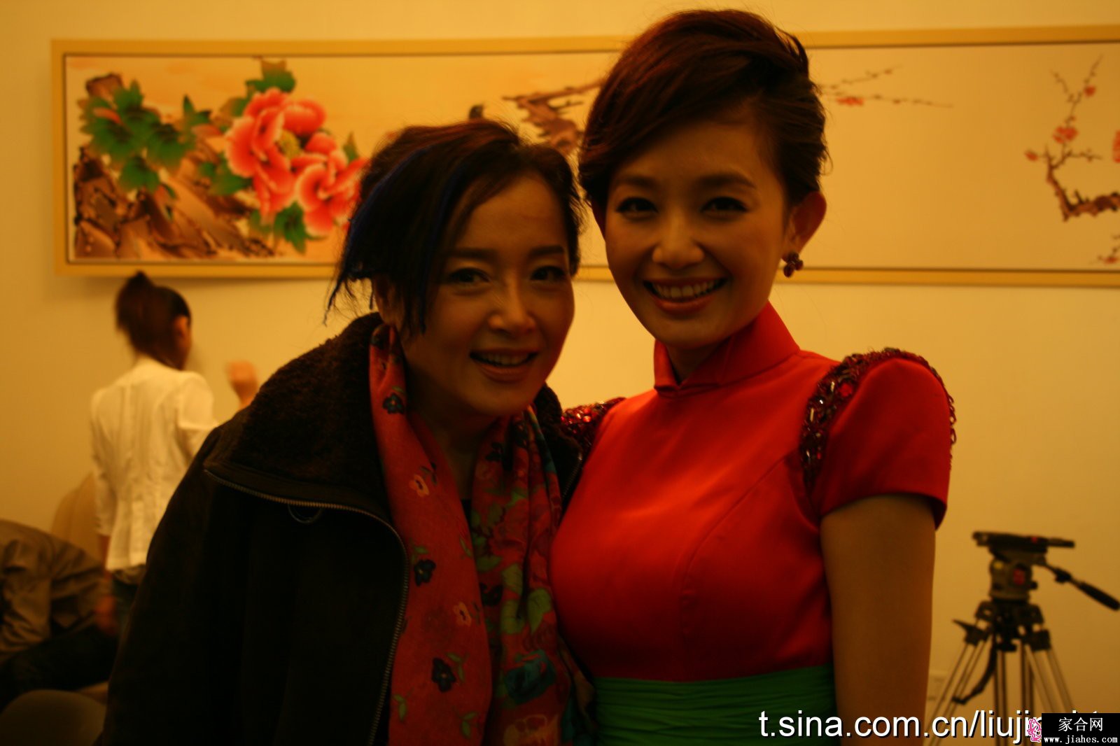 刘婧[12]