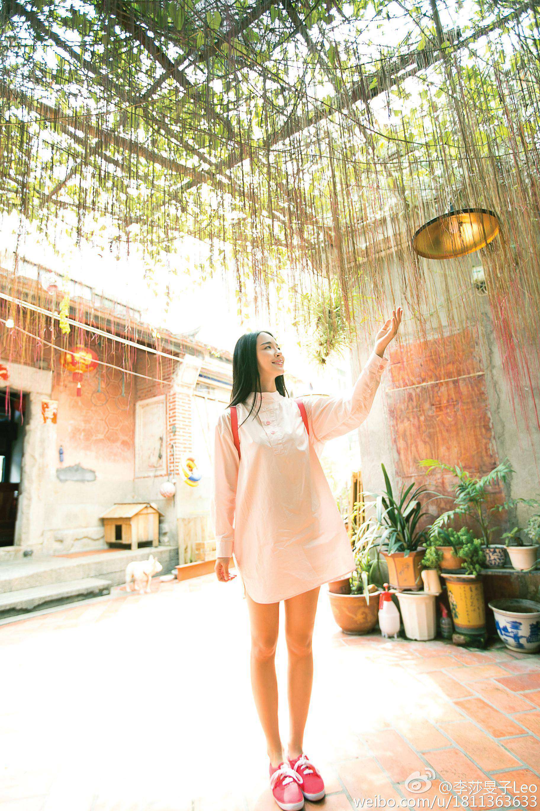 湖南卫视女主持人(主播)李莎旻子丝袜美腿街拍图片[7]