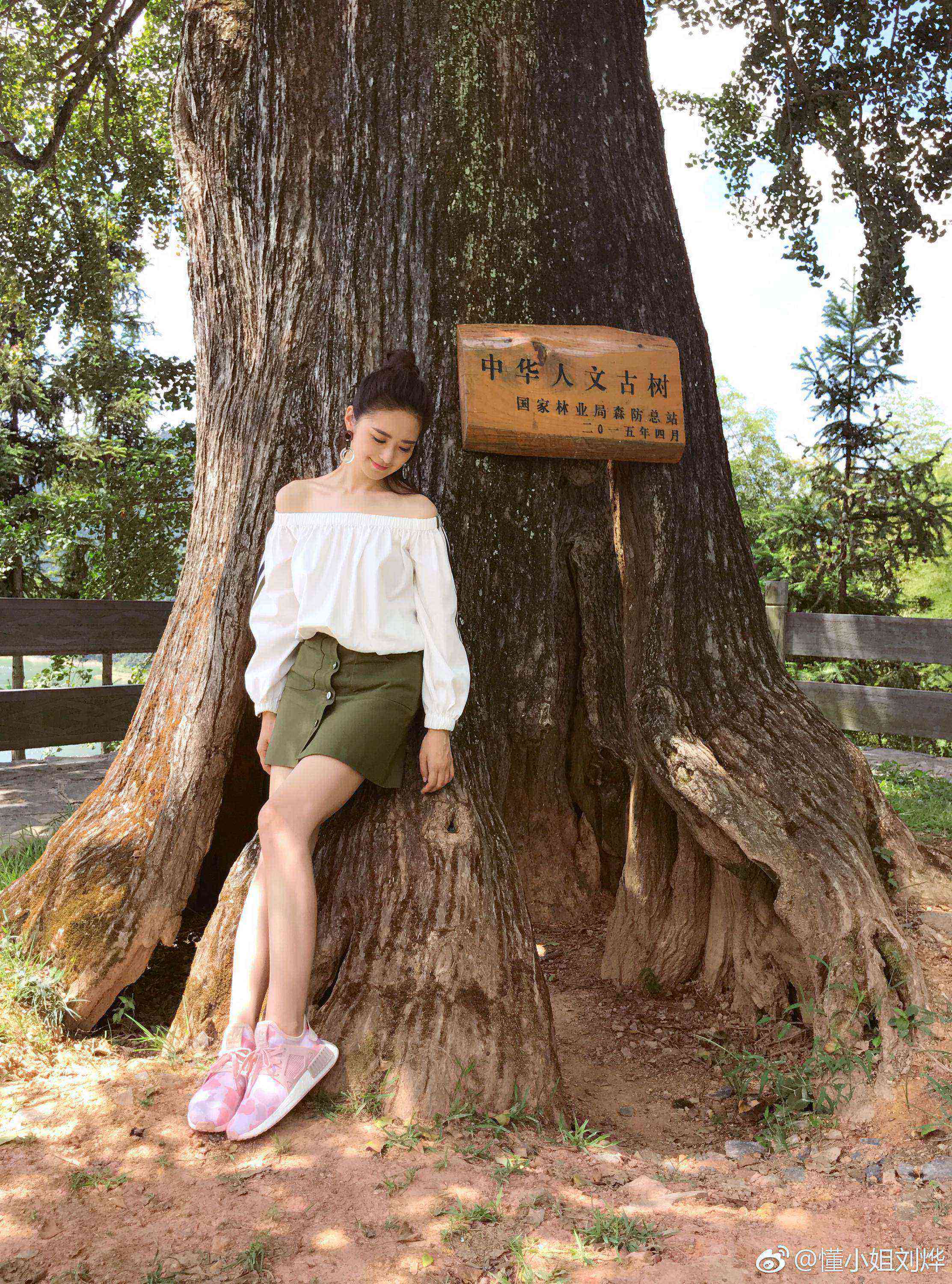 湖南卫视女主持人(主播)刘烨户外丝袜美腿街拍图片[12]