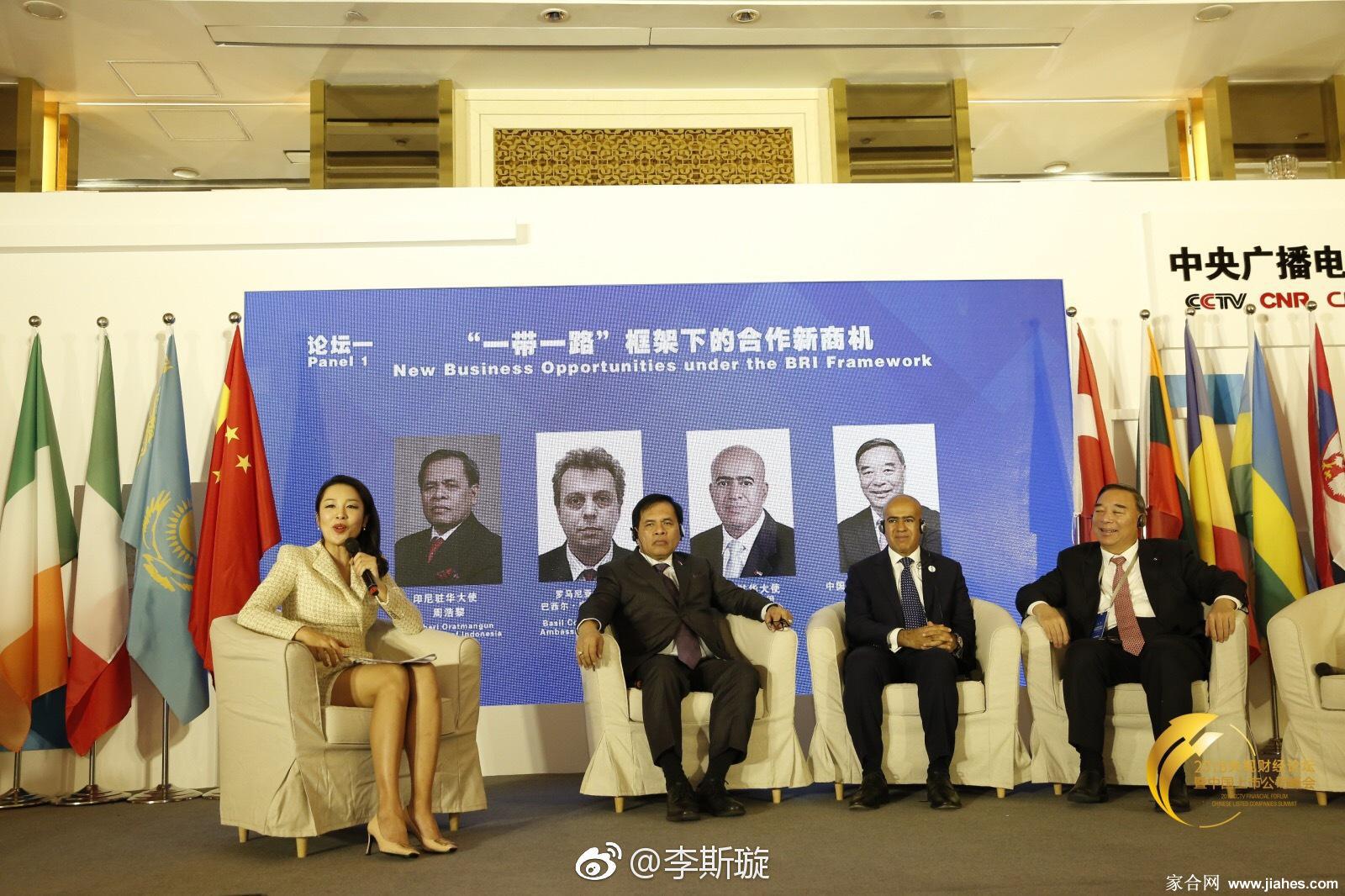 博鳌论坛女主持人李斯璇制服短裙丝袜高跟现场主持照图片[4]