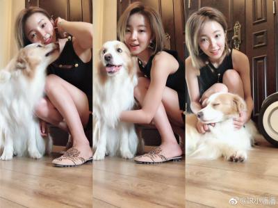 学猫叫小潘潘(潘文凤)性感居家白嫩美肌美腿素颜自拍