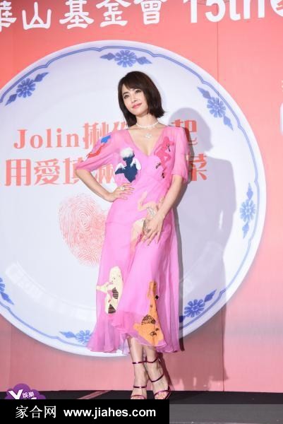 蔡依林粉红色连衣裙“爱老大使”公益活动图片[4]