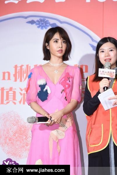 蔡依林粉红色连衣裙“爱老大使”公益活动图片[15]