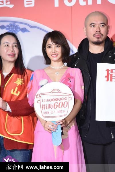 蔡依林粉红色连衣裙“爱老大使”公益活动图片[21]