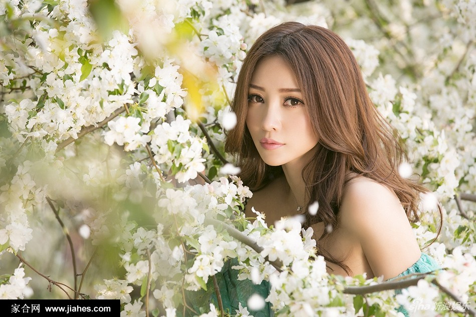 性感女神柳岩长发飘逸深v碎花裙花海写真图片[4]