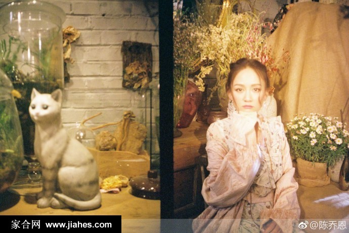 陈乔恩蕾丝纱裙梦幻光影少女感十足写真图片[8]