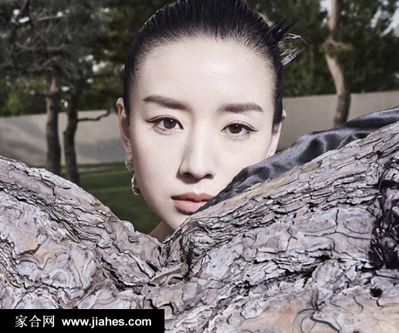 董洁精致妆容凌厉眼神屹立松林间时尚写真图片[6]