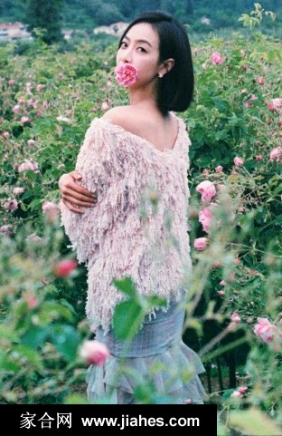 宋茜乌黑短发口中衔花唯美回眸玫瑰园清新写真图片[9]